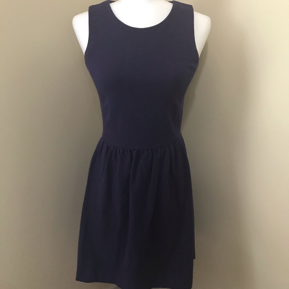J. Crew Dress